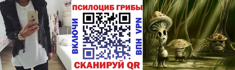 Купить где  Пыталово  Галлюциногенные грибы Cubensis 